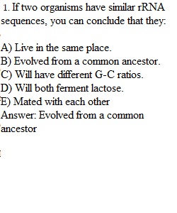 Topic 4 Quiz 4